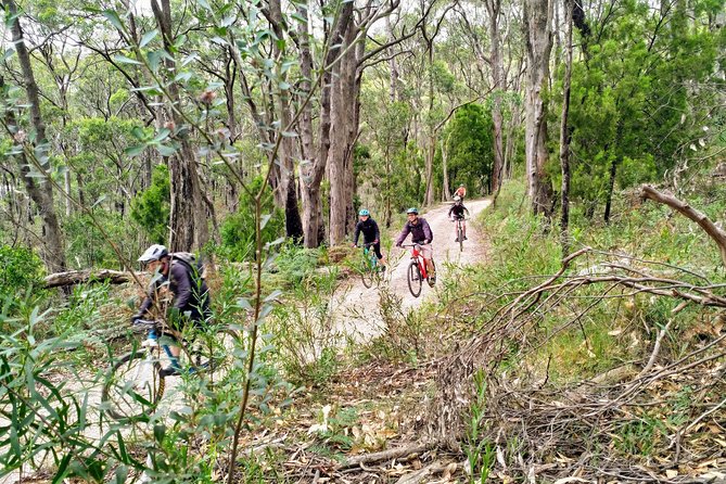 Mount Lofty Descent Bike Tour from Adelaide - Small groups and the guide’s role