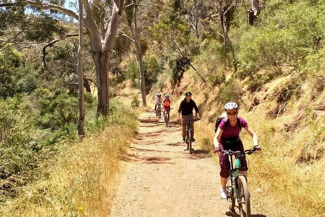 Mount Lofty Descent Bike Tour from Adelaide - What the downhill ride really feels like