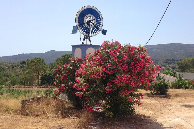 Mountain Bike Tour Font de la Mata - Price and what the $122.70 includes