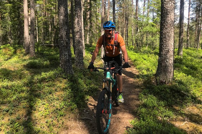 Mountain Bike - Voss Forest - Key points at a glance
