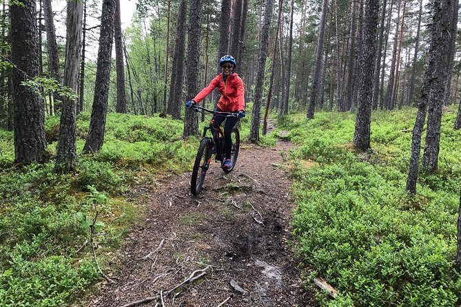 Mountain Bike - Voss Forest - Wet weather changes the character