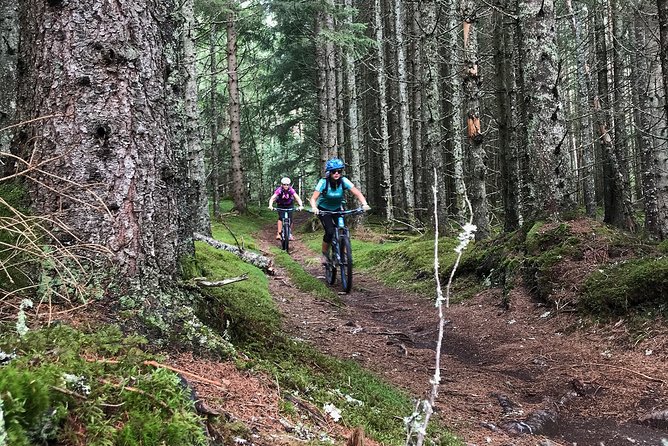 Mountain Bike - Voss Forest - Is 2.5 hours enough?