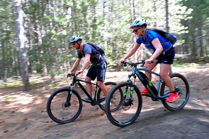 Mountain Biking Etna by MTB or E-Bike - Starting high on Etna at Piano Vetore