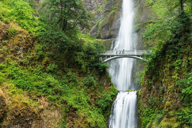 Multnomah Falls Ebiking Tour to 6 Columbia River Gorge Waterfalls - Quick points before you book