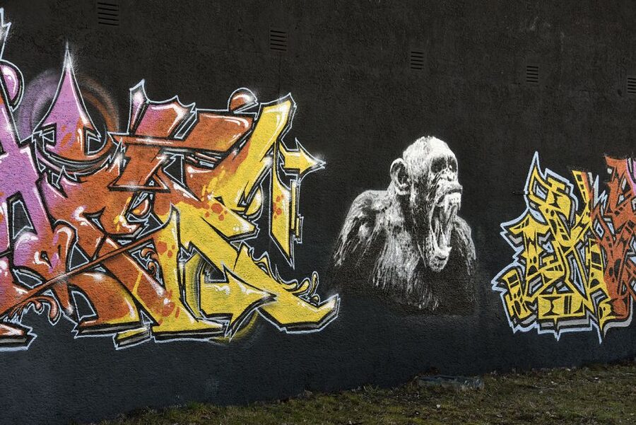 Munich: Street Art Bike Tour - How the cycling format changes the experience