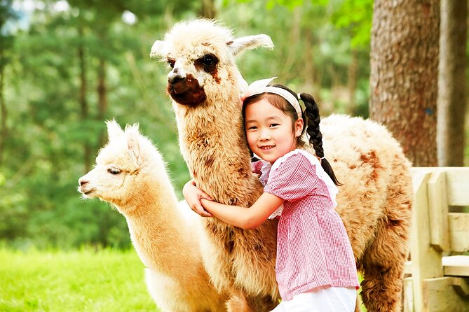 Nami+Alpaca+Garden of Morning Calm (+Rail Bike Option) - What the $92.29 price really buys