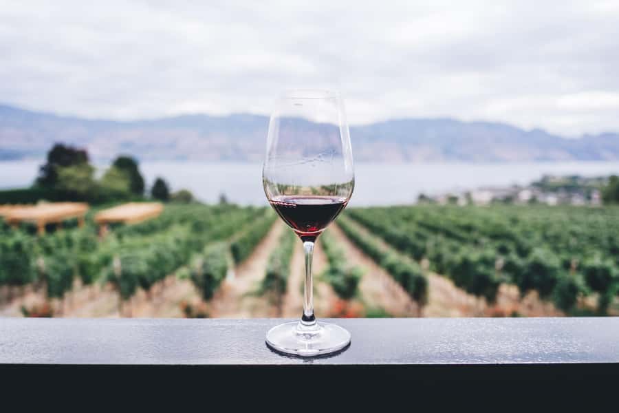 Napier: Art Deco Bike Ride and Wineries Loop - Key points to know before you ride