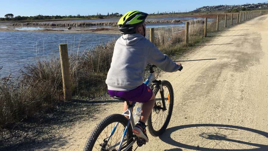 Napier: Art Deco Bike Ride and Wineries Loop - From Ahuriri port to Napier’s Art Deco center