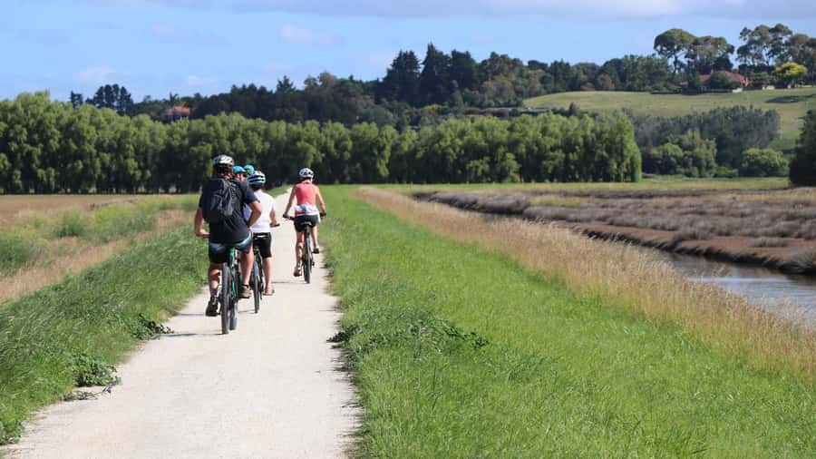Napier: Art Deco Bike Ride and Wineries Loop - Coastal cycling with Cape Kidnappers in view
