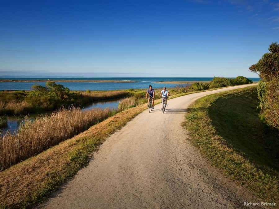 Napier: Cape Coast Winery Tour on E-Bikes - Why This Route Works So Well