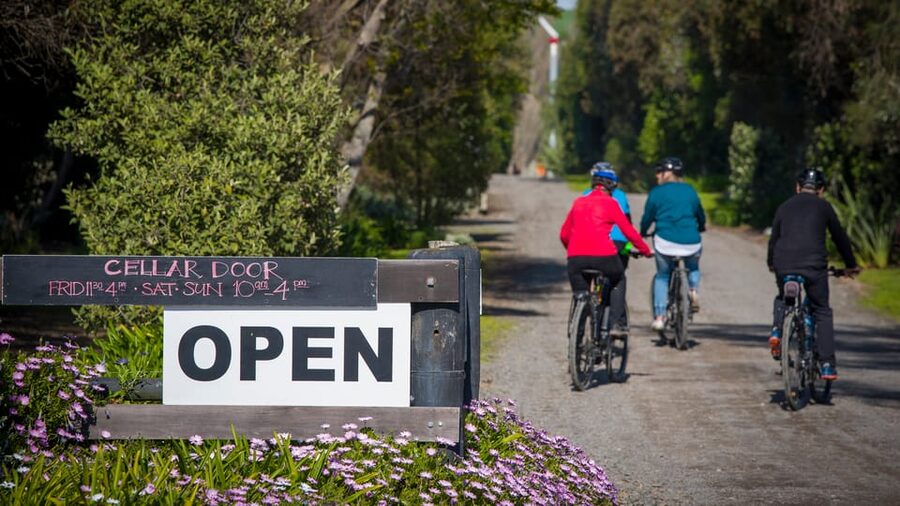 Napier: Cape Coast Winery Tour on E-Bikes - Askerne Estate: The Practical Lunch Stop