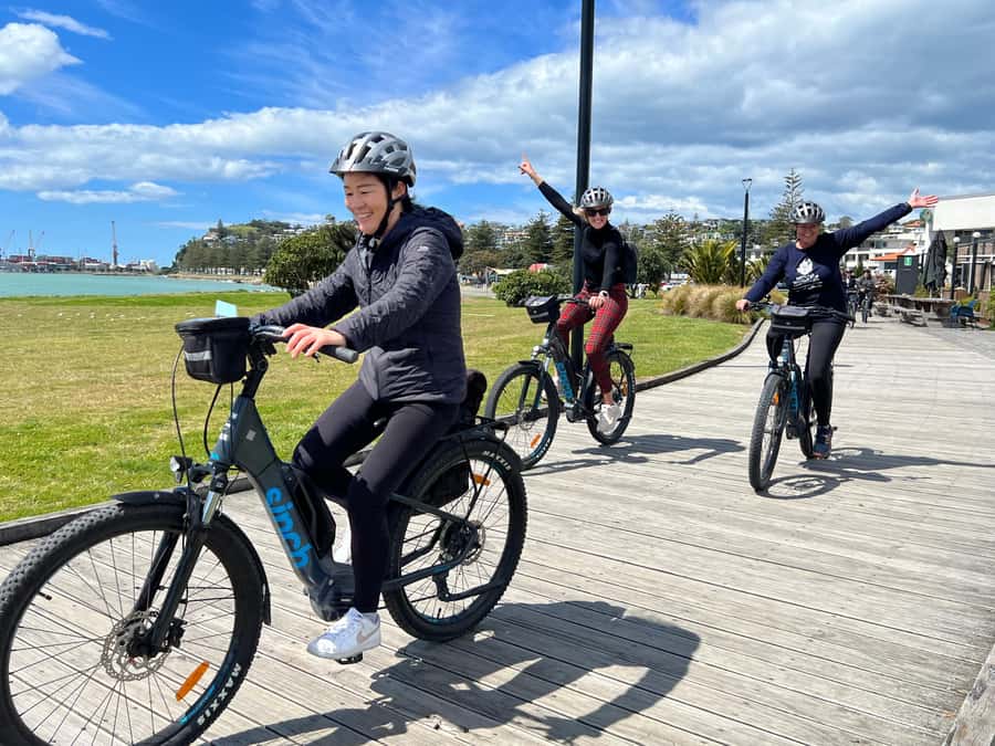Napier: Cruise Self-Guided Cycle Ride to Winery - Half Day - Choosing between the 40km loop and 50km coast
