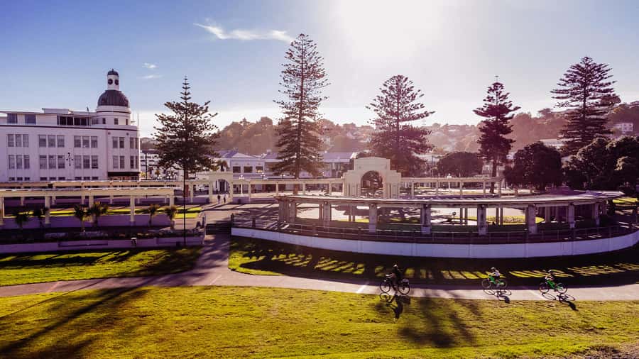 Napier: Cruise Self-Guided Cycle Ride to Winery - Half Day - What to bring and what to expect