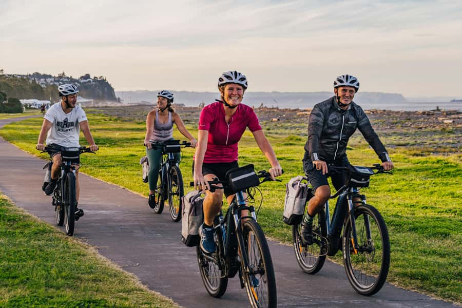 Napier: Cruise Self-Guided Cycle Ride to Winery - Half Day - What the ride itself feels like