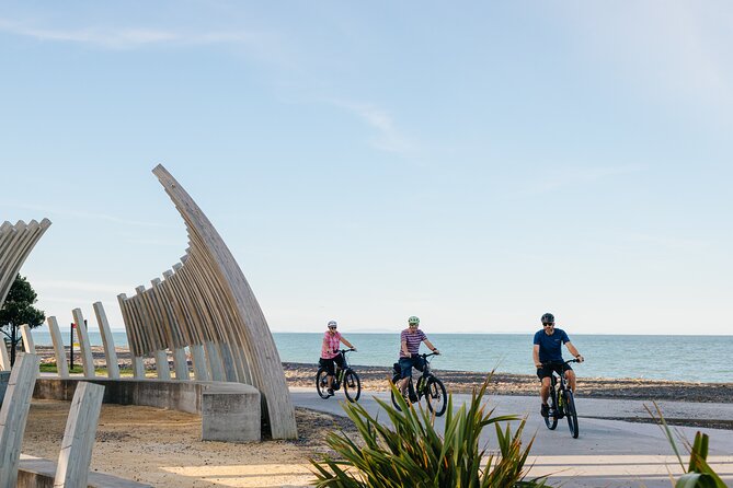 Napier E-bike Hire - Wetlands, wildlife, and the ride toward Mission Estate