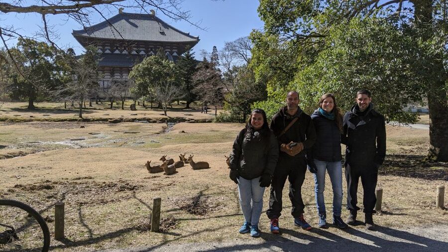 Nara: City Highlights Shared Group or Private Bike Tour - Nandaimon Gate and the scale of Todai-ji