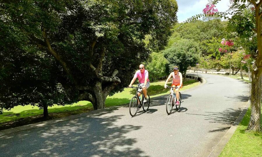 Nara: City Highlights Shared Group or Private Bike Tour - Kasuga Taisha and its thousand lanterns