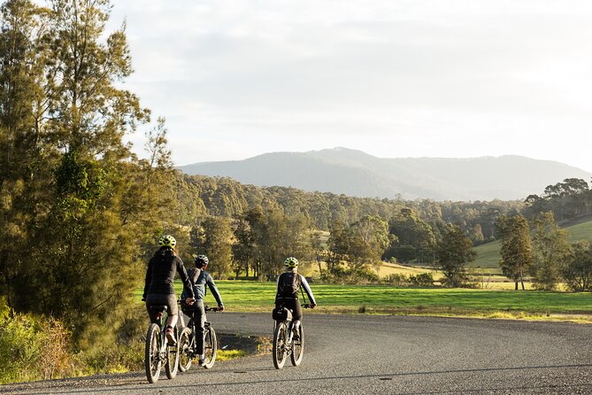 Narooma - E-Bike Hire 2 Hour Rental - The calm stretch across Mill Bay Boardwalk