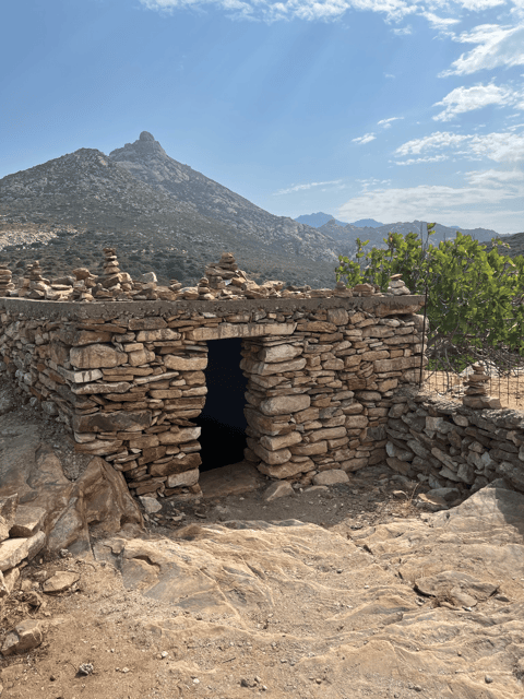 Naxos: Private E-Bike Tour with Farm Lunch - Is $218 per person good value?