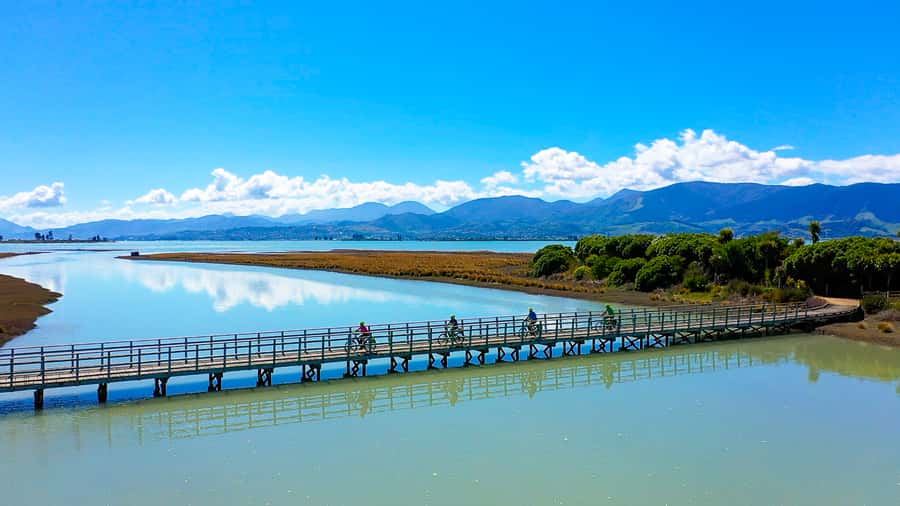 Nelson to Mapua: Full-Day Cycling Self-Guided Adventure - Key points to know before you ride