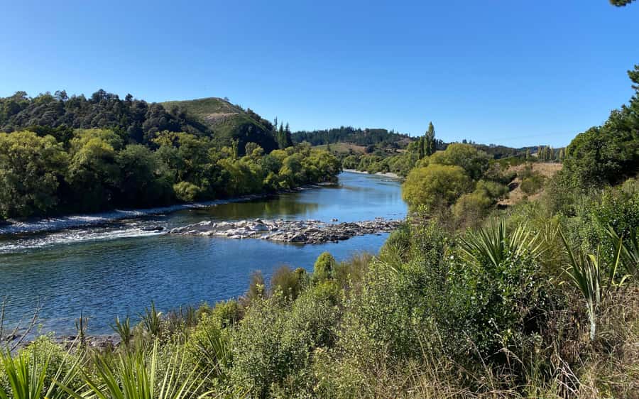 Nelson to Mapua: Full-Day Cycling Self-Guided Adventure - Who should book this ride?