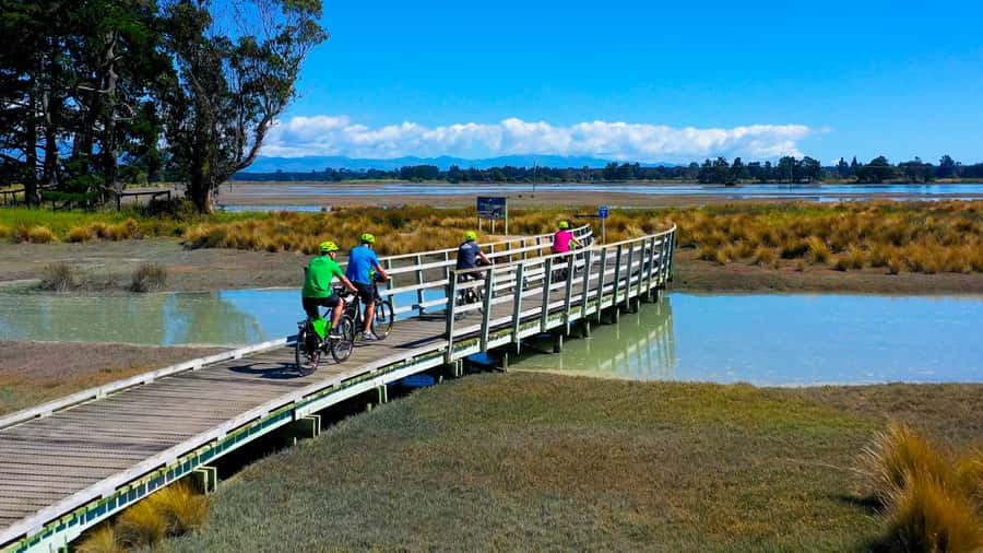 Nelson to Mapua: Full-Day Cycling Self-Guided Adventure - A self-guided ride with room to make your own day