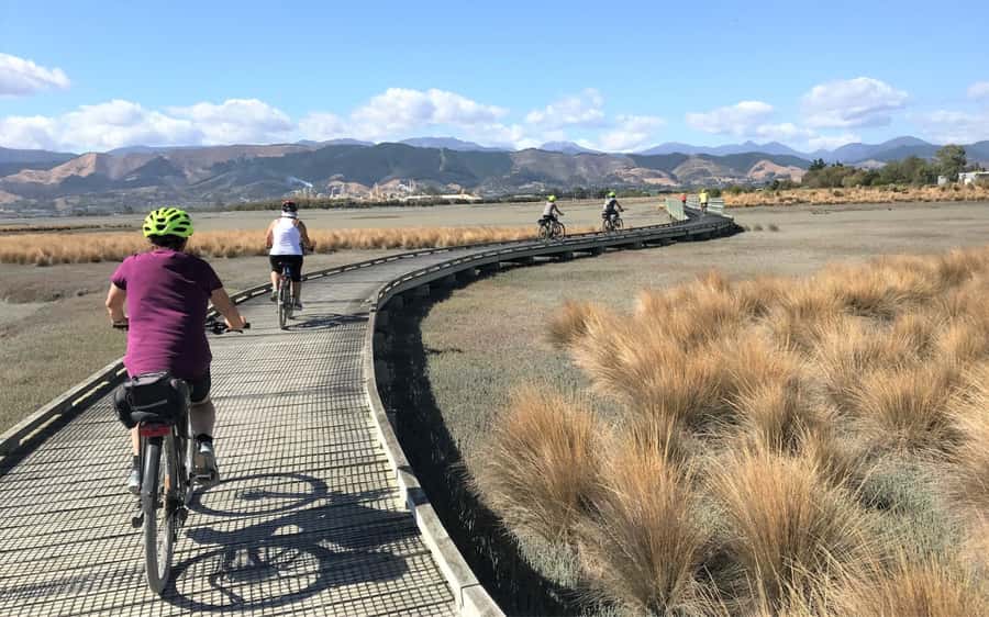 Nelson to Mapua: Full-Day Cycling Self-Guided Adventure - Crossing Waimea Swing Bridge