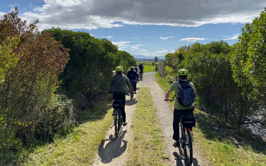 Nelson to Mapua: Full-Day Cycling Self-Guided Adventure - Rabbit Island gives you a proper pause