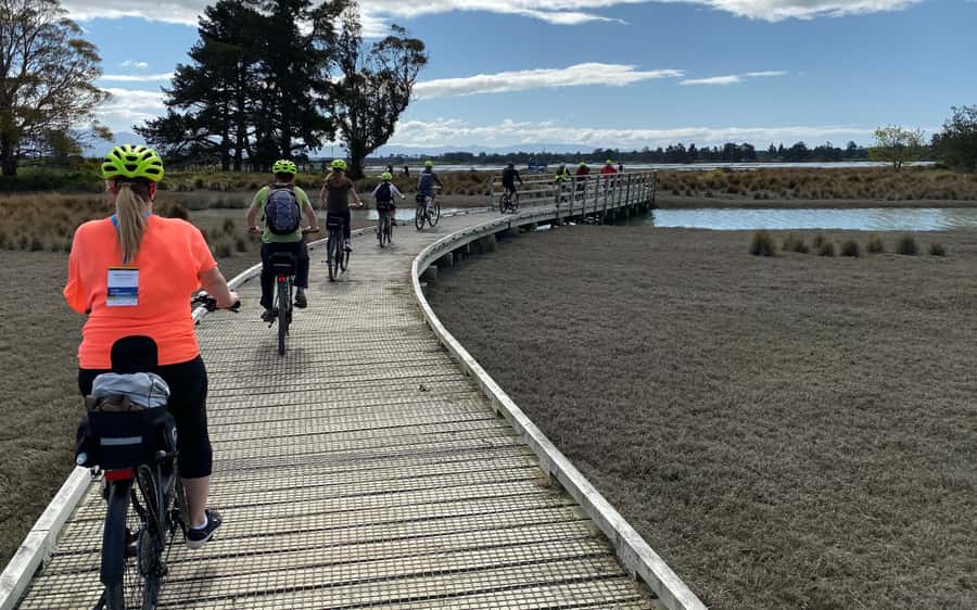 Nelson to Mapua: Full-Day Cycling Self-Guided Adventure - The Mapua Ferry turns the finish into a journey