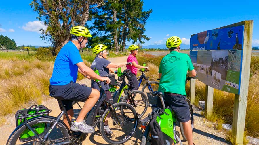 Nelson to Mapua: Full-Day Cycling Self-Guided Adventure - Finding the blue markers through Nelson