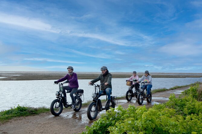 New Forest E-Bike Adventure - Key Points for Your New Forest Ride