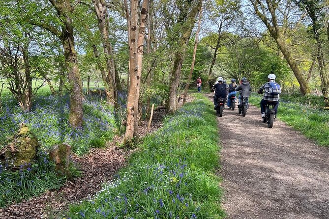 New Forest E-Bike Adventure - Five Assist Levels Change the Pace of the Day