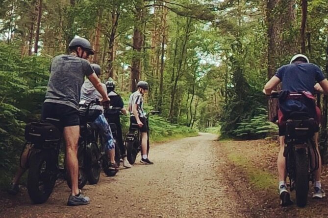 New Forest E-Bike Adventure - Forest Tracks, Heathland, and Free-Roaming Animals