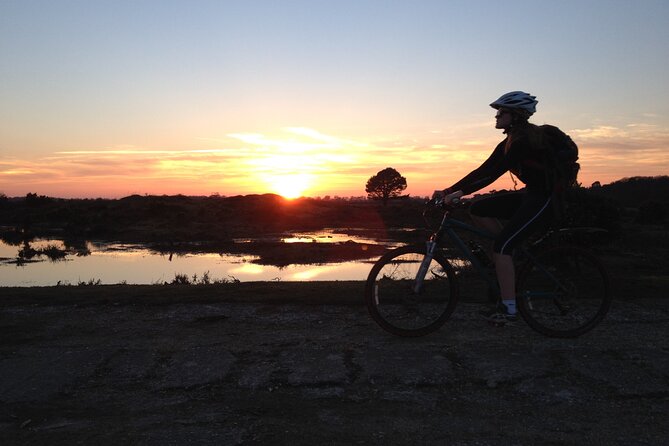 New Forest Sunset Bike Rides - Why the New Forest works so well at sunset