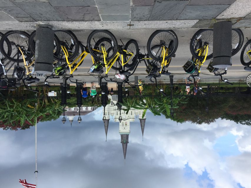 New Orleans: Buzz the Crescent Guided Bike Tour - Esplanade Avenue under the live oaks