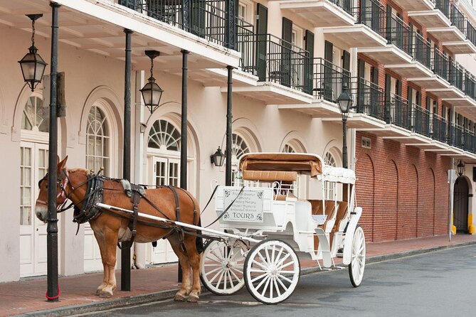 New Orleans Creole Odyssey Small-Group Bike Tour - Key points to know before you book