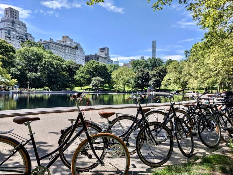 New York City: Best of Central Park Bike Tour - The Literary Walk and Cherry Hill