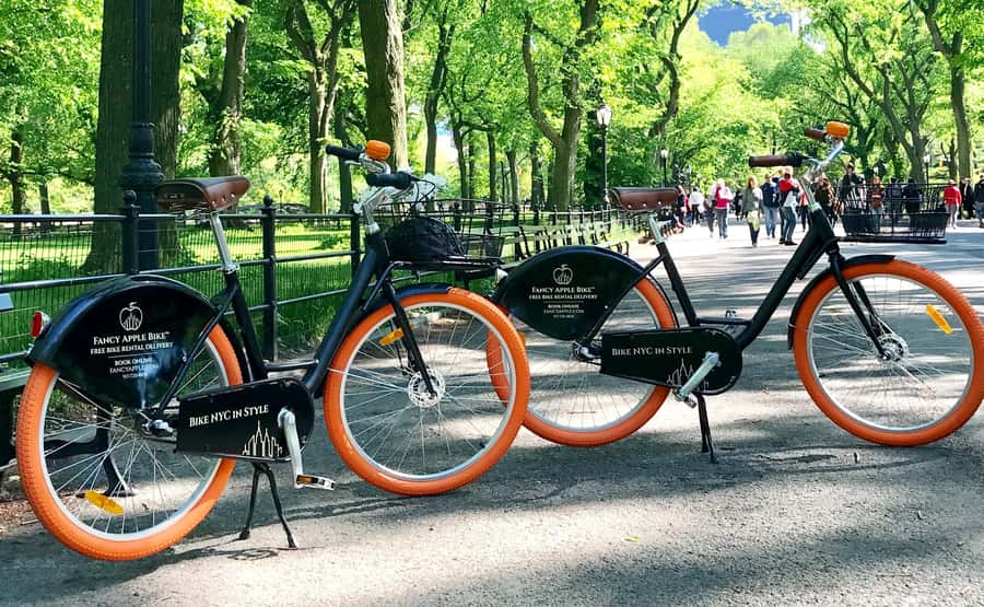 New York City: Best of Central Park Bike Tour - Starting at 7th Avenue and 56th Street