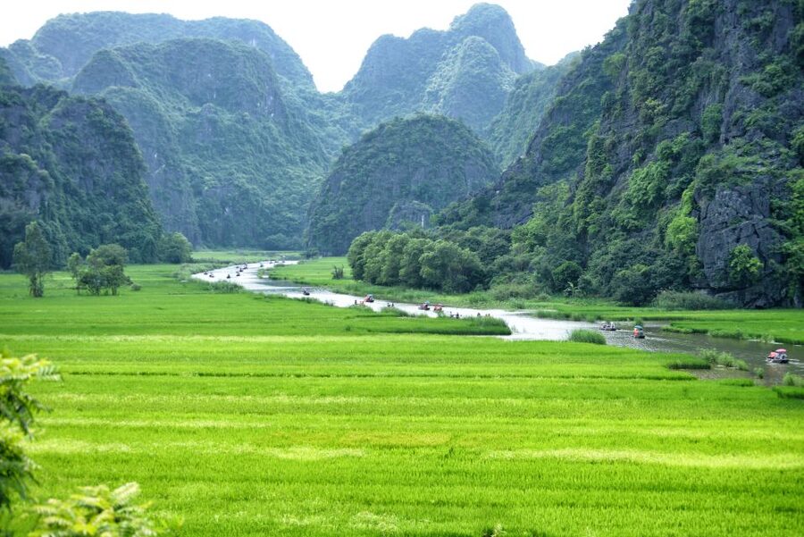 Ninh Binh Daily: Hoa Lu, Mua Cave, Tam Coc, Bike & Swimming - Guides, group size, and organization