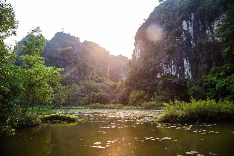 Ninh Binh E-Bike Tour - Tam Coc Secret Landscapes - Picking Vối tea beside Đền Vối Temple