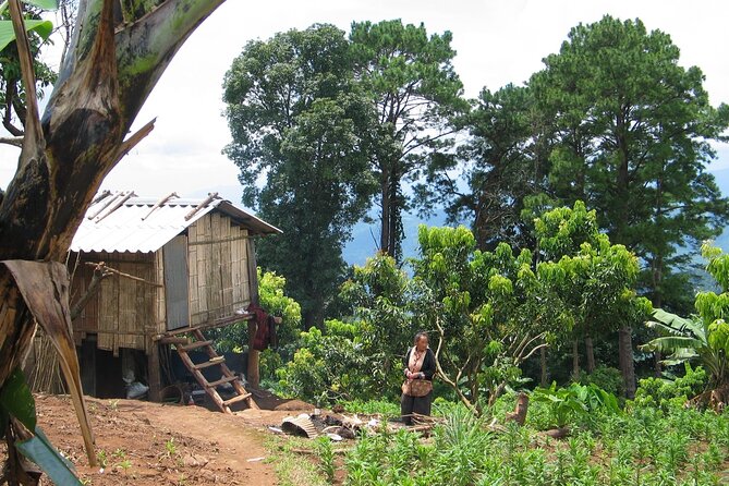 No.1 Chiang Mai: Advanced Downhill Mountain Biking, Suthep N.Park - Who should book this ride