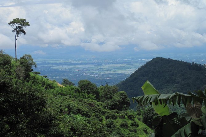 No.1 Chiang Mai: Advanced Downhill Mountain Biking, Suthep N.Park - Practical tips for a better ride