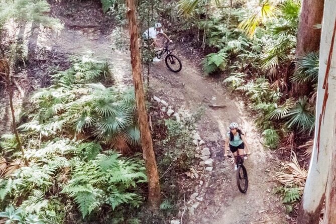 Noosa eMtn Bike Tour: Exploring a National Park on Fun MTB Trails - Meeting at Noosaville before the morning ride