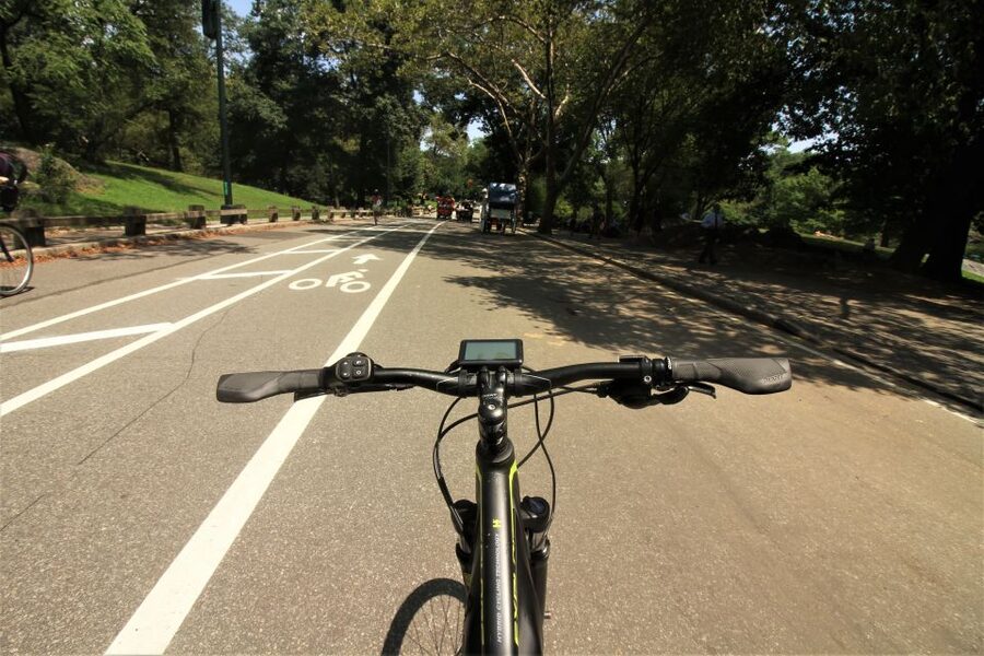 NYC: Central Park Guided Electric Bike Tour - Balto, Tavern on the Green, and sights along the way