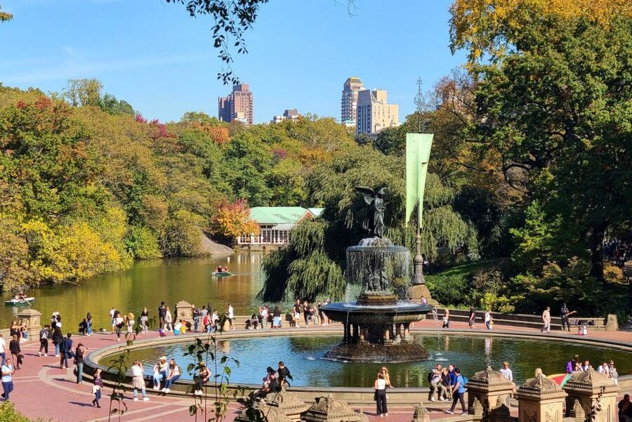 NYC: E-Bike Rental for Central Park and Downtown - Practical booking advice