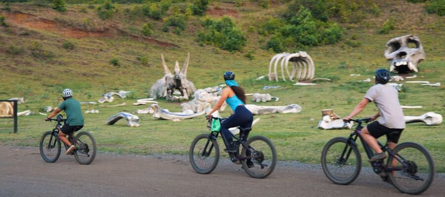 Oahu: Kualoa Electric Bike Tour - Key points to know before you book