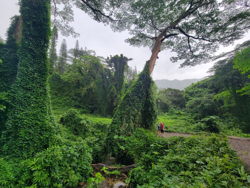 Oahu: Waikiki E-Bike Ride and Manoa Falls Hike - Locking the bikes and beginning the Manoa Falls hike