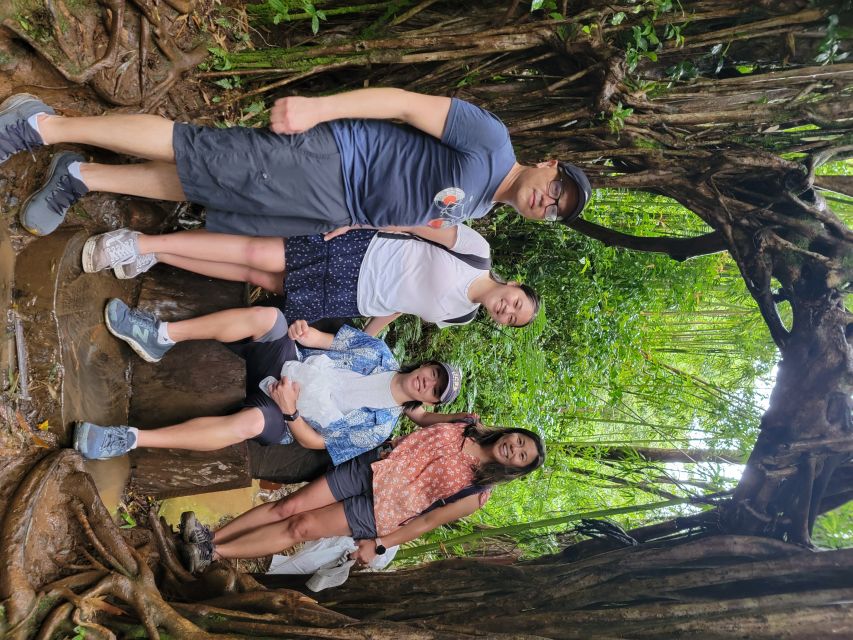Oahu: Waikiki E-Bike Ride and Manoa Falls Hike - Photos, pace, and the return to Waikiki