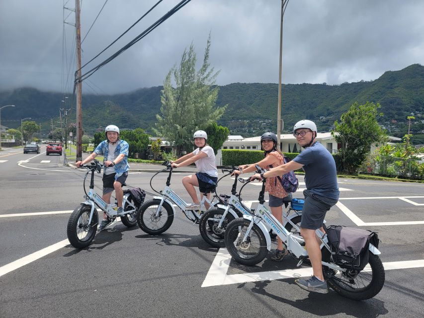 Oahu: Waikiki E-Bike Ride and Manoa Falls Hike - Who should choose this active half-day