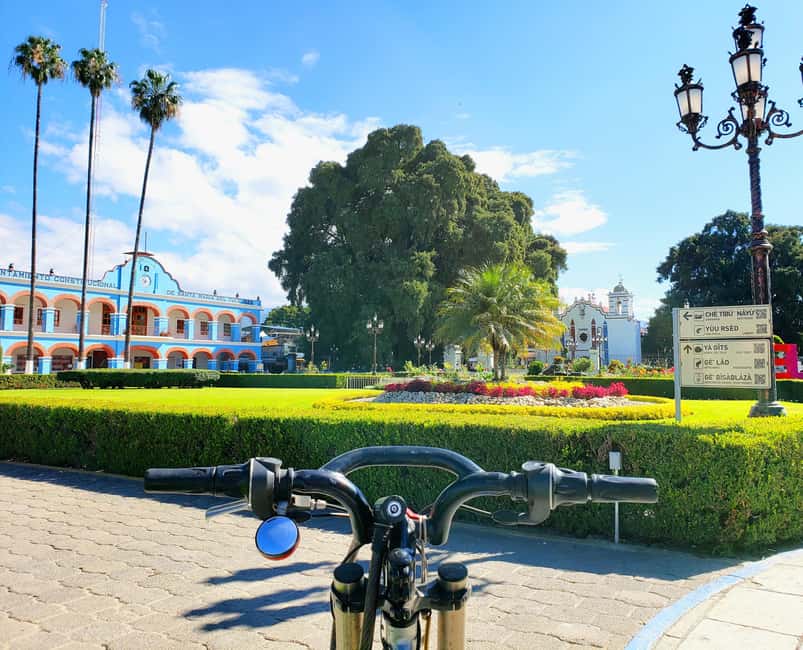 Oaxaca: Guided Bike Tour to the Largest Tree in the World - Meeting the ancient Tule tree